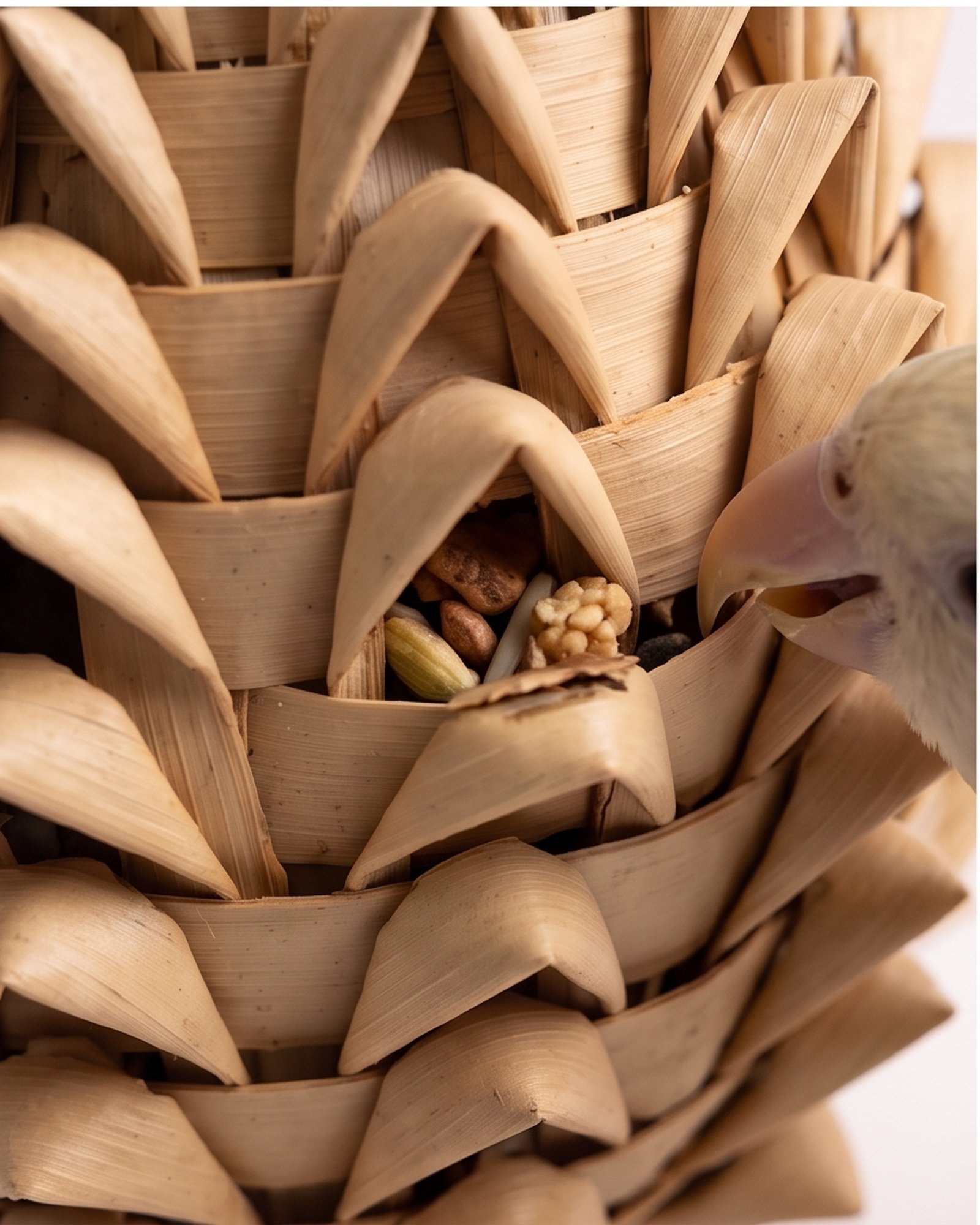 Paradise De Aves Pet Shop Woven Pineapple Bird Foraging Toy - Beige - Image 3